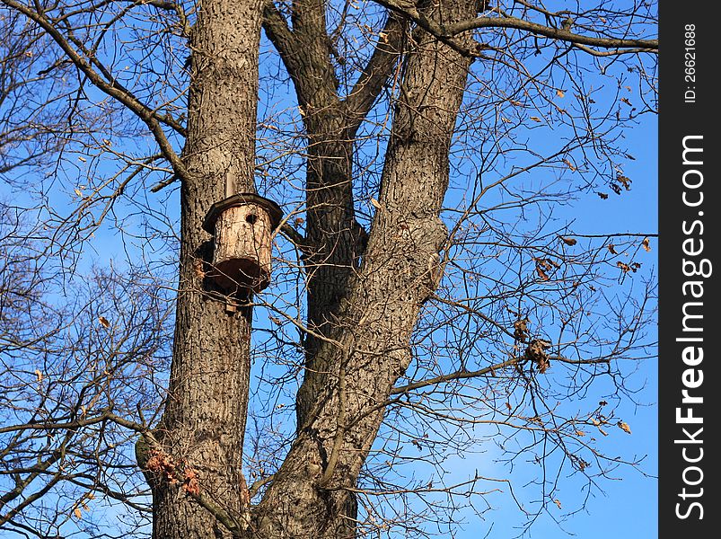 Birdhouse among the bare branches of a tree against a blue sky. Birdhouse among the bare branches of a tree against a blue sky