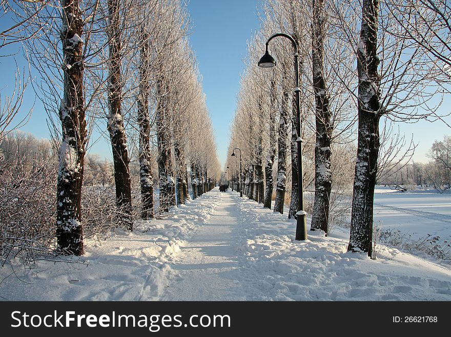 Beautiful view of the snow-covered park. Beautiful view of the snow-covered park
