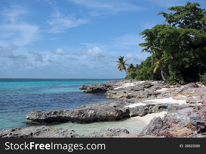 Beach island Saona, Dominican Republic. Beach island Saona, Dominican Republic