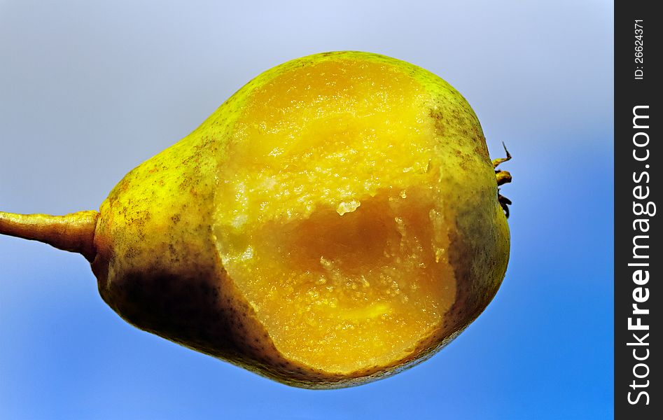 Bit pear on the blue sky background. Bit pear on the blue sky background.