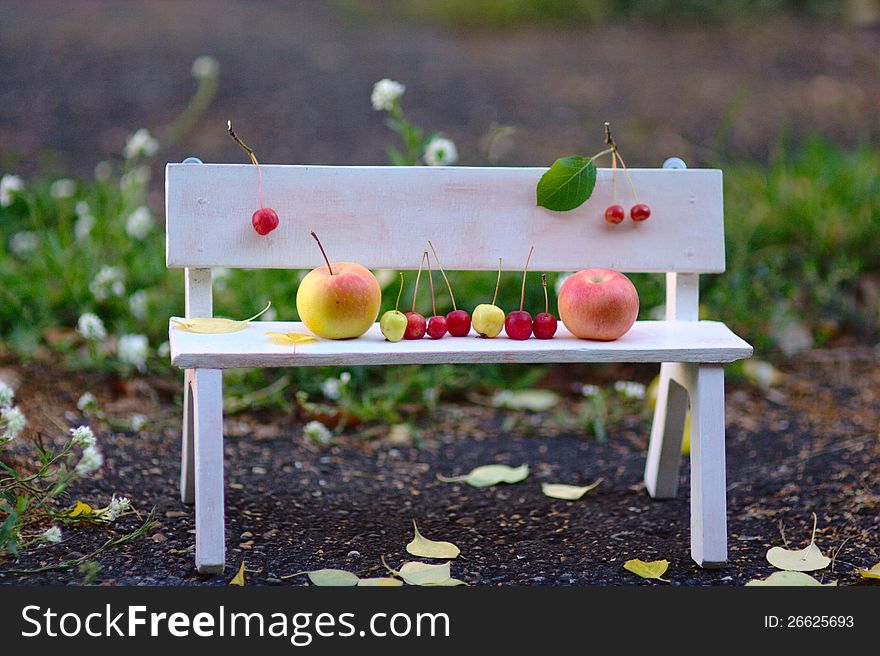 Apples Family on the Bench