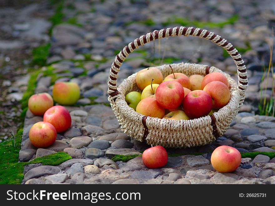 Red Apples in the Basket