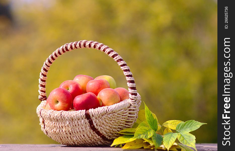 Red Apples in the Basket