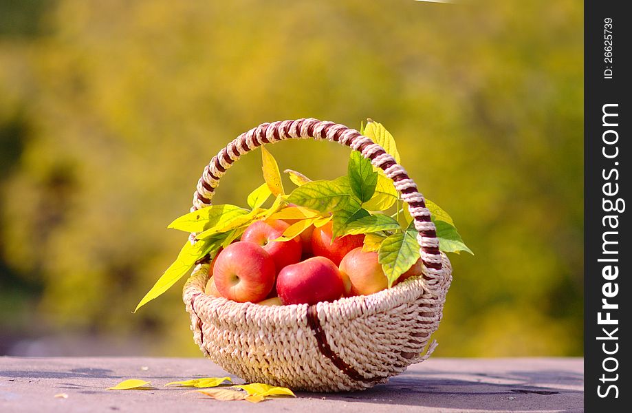 Red Apples in the Basket