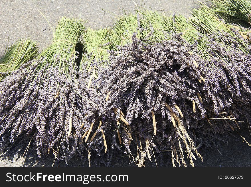 Bouquets of dried lavender for sale at a local market in the Provence, France