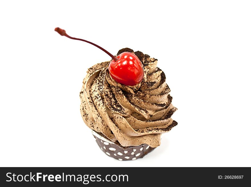 Cup Cake isolated on white background