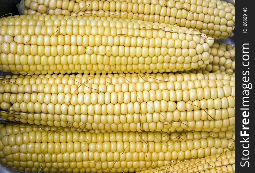 Multiple stacked corn on the cobs of white with yellow corn in the kernels. Multiple stacked corn on the cobs of white with yellow corn in the kernels