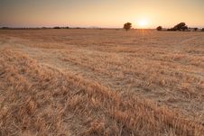 Sunset On Plateau Of Valensole, Provence, France Royalty Free Stock Photography Sunset On Plateau Of Valensole, Provence, France Royalty Free Stock Photography