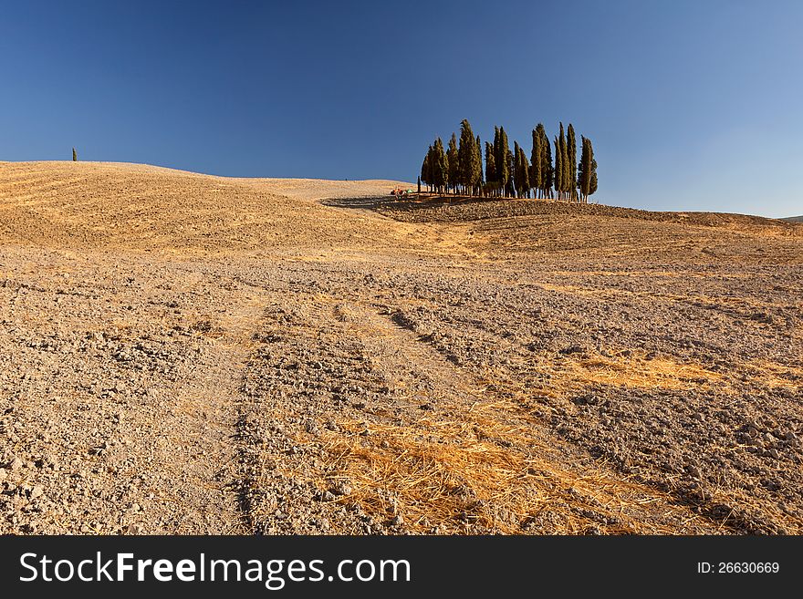 Tuscan countryside near Pienza, Tuscany, Italy. Tuscan countryside near Pienza, Tuscany, Italy.