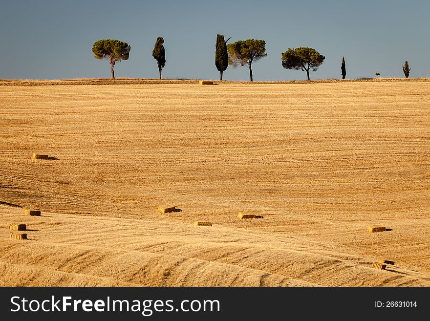 Sunrise in tuscan countryside, Italy