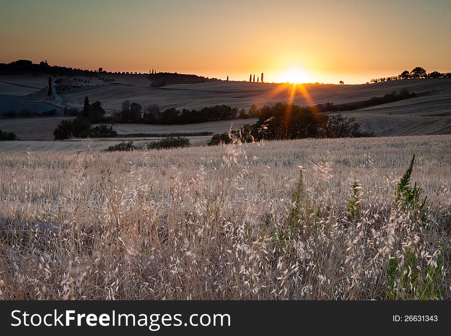 Sunset in tuscan country, near Pienza, Tuscany, Italy. Sunset in tuscan country, near Pienza, Tuscany, Italy