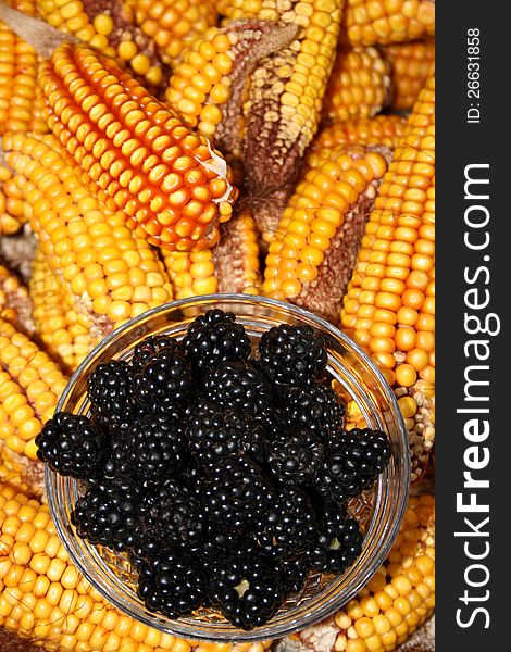 Blackberries on the dish staying on maize cops. Blackberries on the dish staying on maize cops