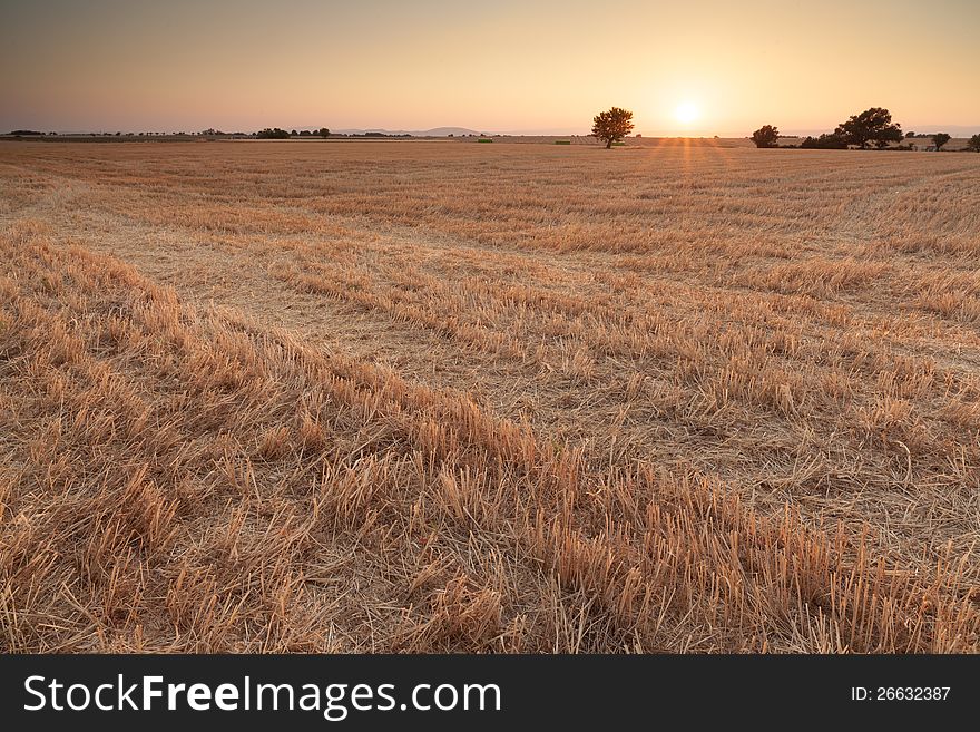 Sunset on Plateau of Valensole, Provence, France