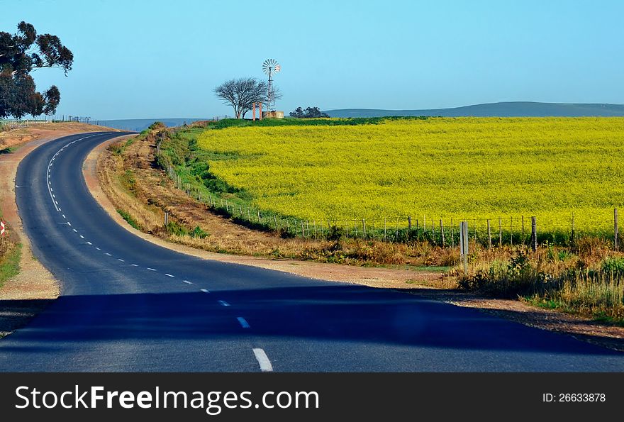 Landscape of windmill water pump in yellow field. Landscape of windmill water pump in yellow field