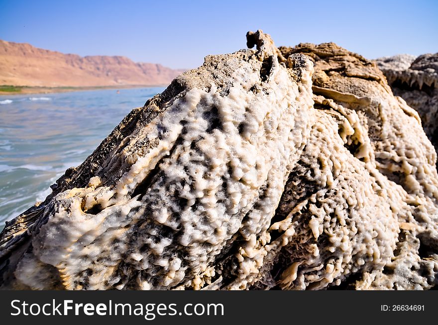 Crystalic salt on the beach of the Dead Sea,