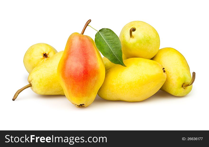 Pears yellow many leaf on white background