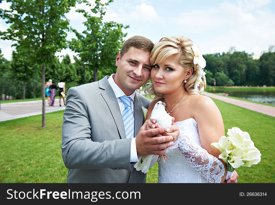 Bride and groom with pigeon on the wedding walk. Romantic kiss. Bride and groom with pigeon on the wedding walk. Romantic kiss.