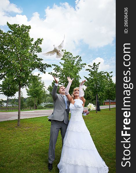 Bride and groom release pigeon at wedding walk