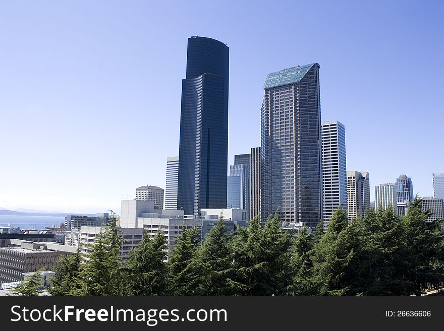 Skyline of downtown Seattle in summer.