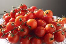 Tomatoes On Vine Stock Photos Tomatoes On Vine Stock Photos