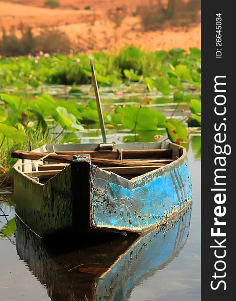 Photo of lotus lake with a boat