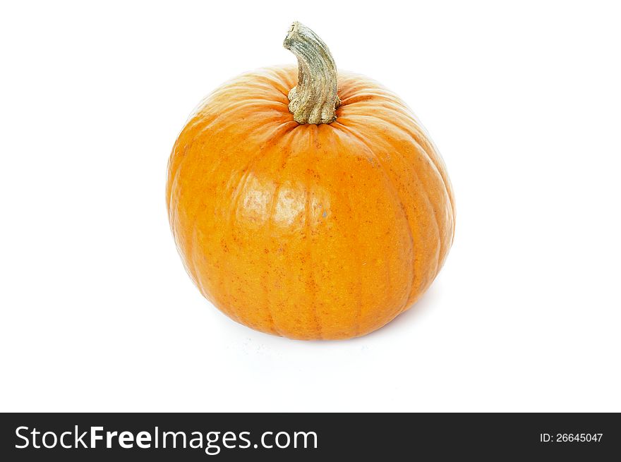 Perfect Ripe Pumpkin isolated on white background