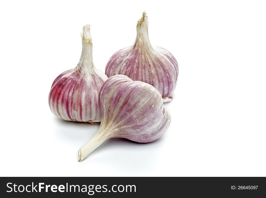 Three Fresh Garlic isolated on white background