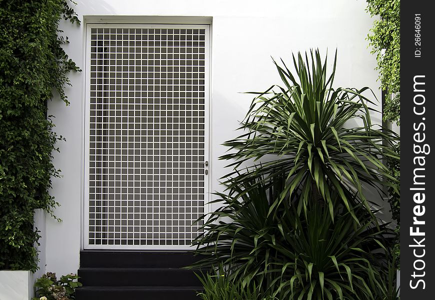 White Wall Entrance With Garden