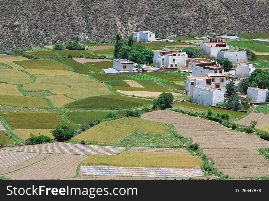 Farmland and village in Kang area or East Tibet,which belongs to China's Sichuan'province. Farmland and village in Kang area or East Tibet,which belongs to China's Sichuan'province.