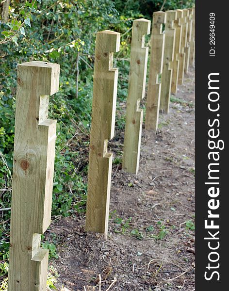 Newly erected fence posts round large open common. Newly erected fence posts round large open common.