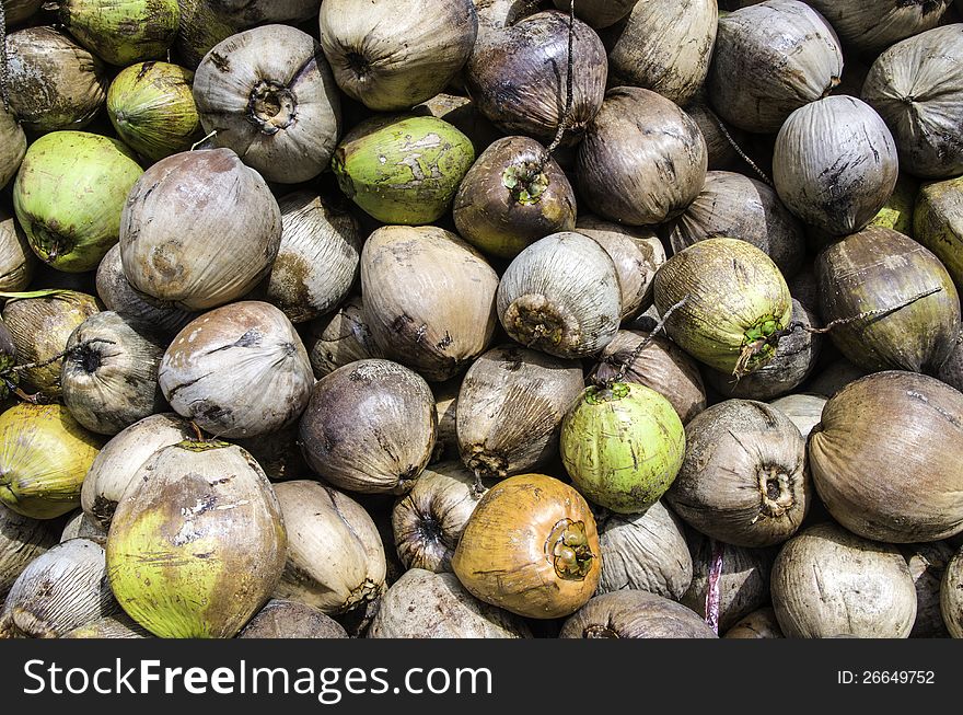 The group of coconuts for food