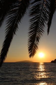 Palm Leafs And Sea In The Evening, Sunset Stock Image Palm Leafs And Sea In The Evening, Sunset Stock Image