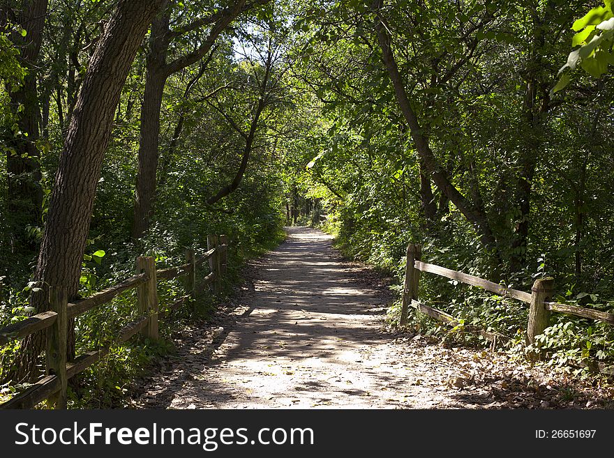 Shady walking path through heavily wooded forest. Shady walking path through heavily wooded forest