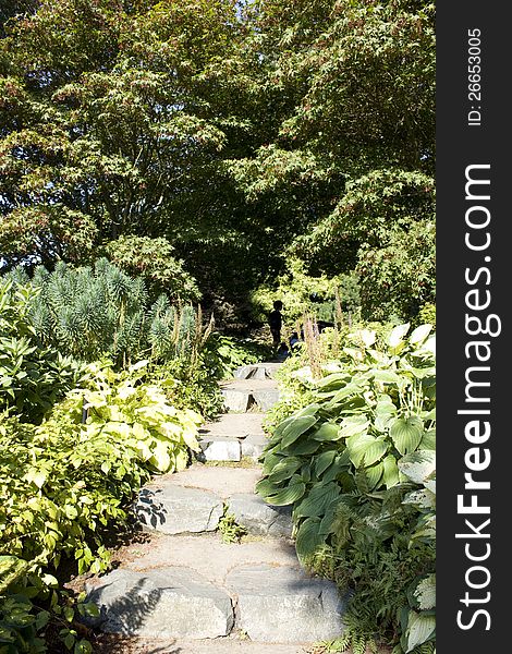 Garden step path
