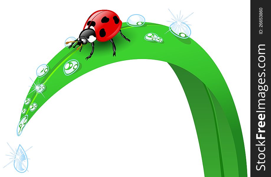 Illustration of a ladybird on a blade of grass. Available in vector EPS format