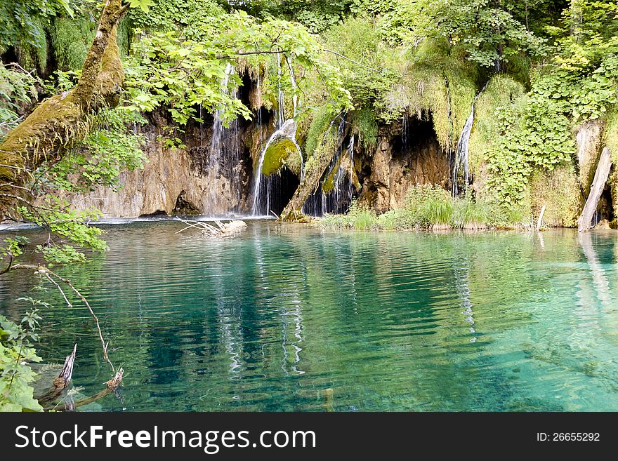 Wile nature - Plitvice lakes, National UNESCO park, Croatia, Europe. Wile nature - Plitvice lakes, National UNESCO park, Croatia, Europe.