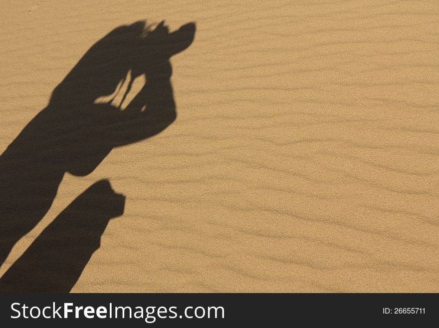 A shadow of a photographer shooting in the desert