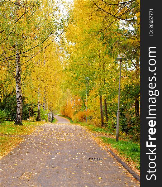 Alley Dressed In Autumn Colors