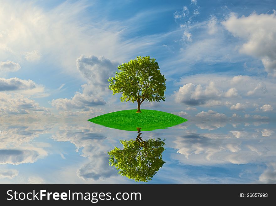 Small green island with lonely tree reflection in quiet water of the ocean