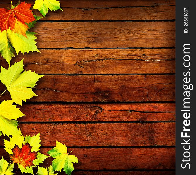 Leaves. Abstract autumn backgrounds for your design