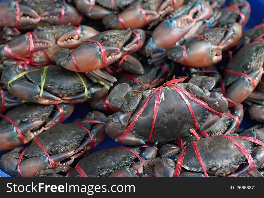 Crabs at market of thailand