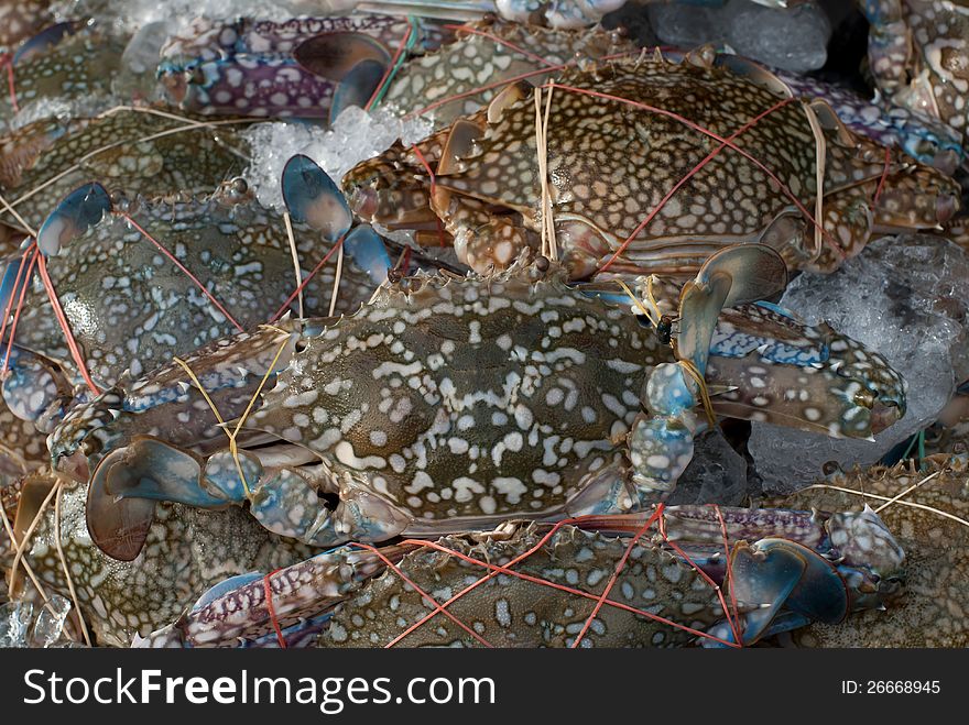 Pile Of Fresh Crabs