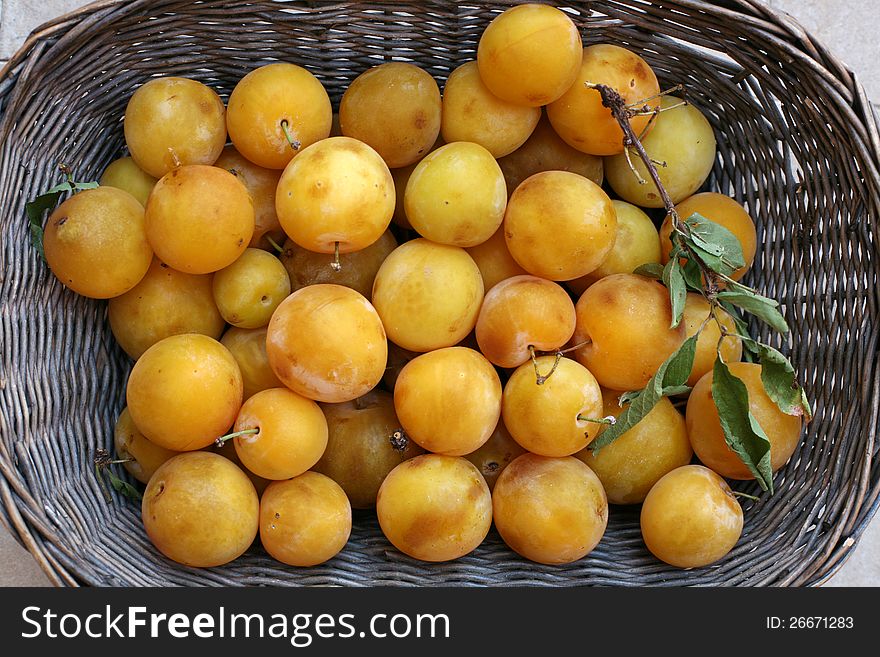 Basket with  yellow ripe plums