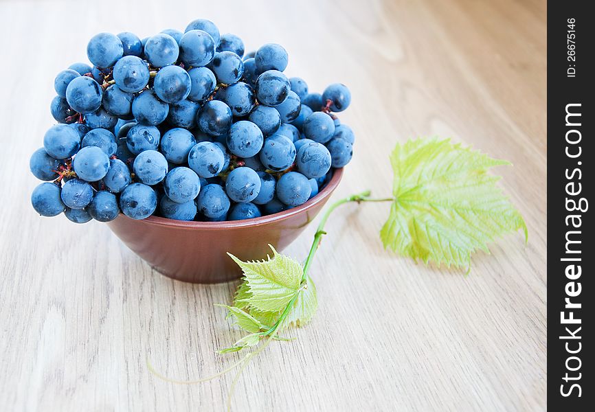 Fresh blue grape cluster with leaves on a table