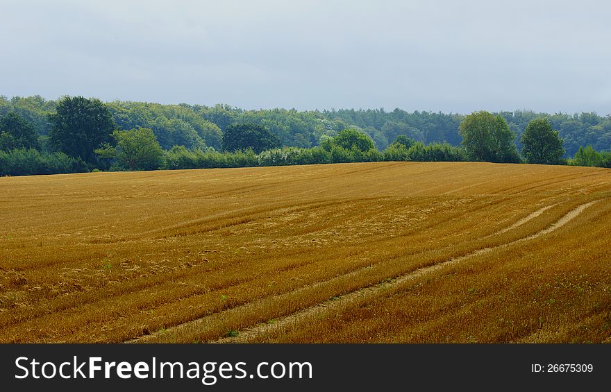 Harvested farmland in autumn in the country. Harvested farmland in autumn in the country