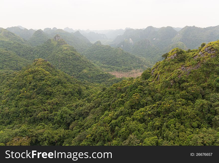 Amazing view of a lush and green forest from a vantage point at the Cat Ba National Park in Vietnam. Amazing view of a lush and green forest from a vantage point at the Cat Ba National Park in Vietnam.