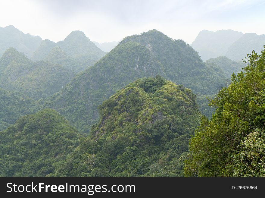 Nice view over lush and green forest and hills from a vantage point at the Cat Ba National Park in Vietnam. Nice view over lush and green forest and hills from a vantage point at the Cat Ba National Park in Vietnam.