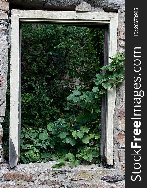 Falling down Historical Building vacant old window trees. Falling down Historical Building vacant old window trees