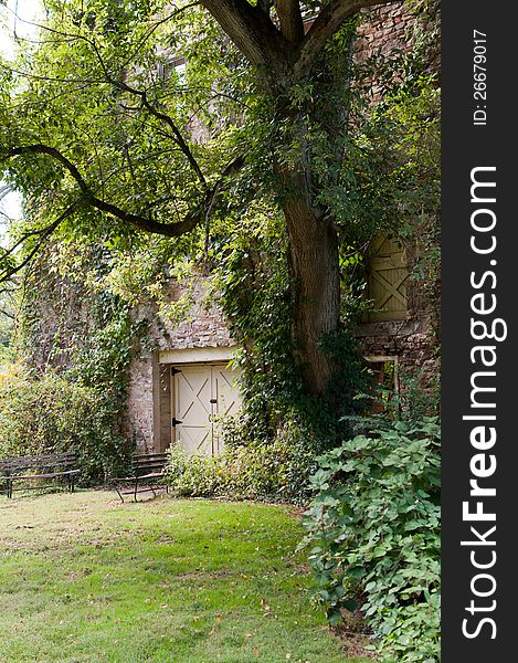 Old Abandoned House