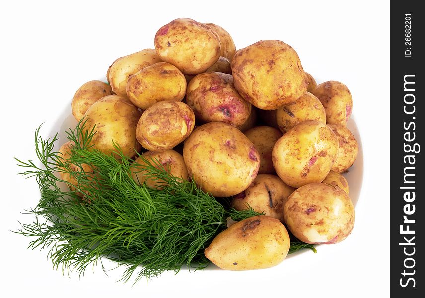 Potatoes in plate on a white background